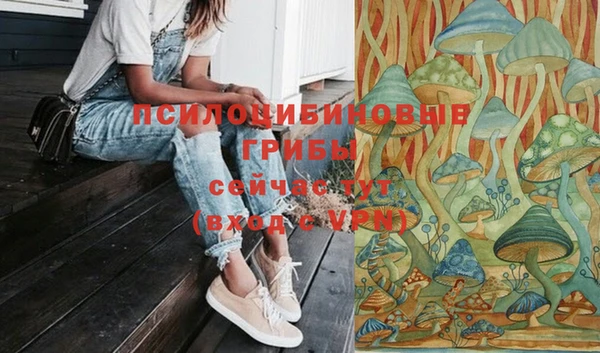 дмт Ладушкин