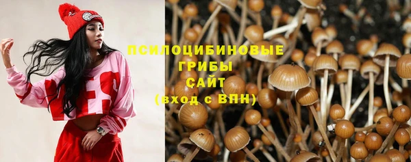 гидропоника Лагань