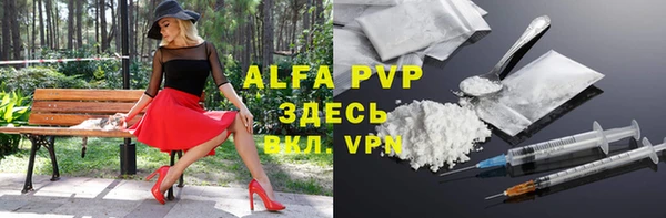 дмт Ладушкин